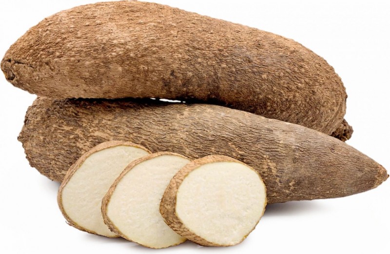The "YAM FARMING","POTATO FARMING","COCOYAM FARMING" and "PLANTAIN FARMING"