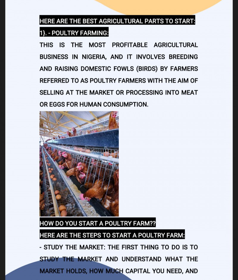 Customer review 4