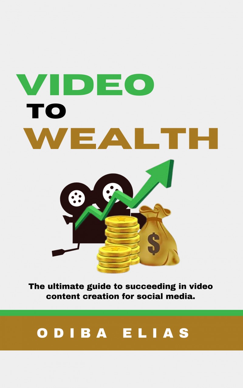 Video to Wealth Book
