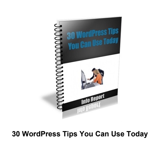 30WordPress Tips You can Use Today