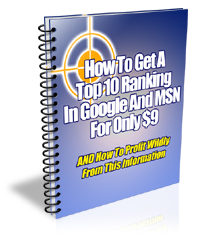 How to get a Top Ranking in Google and MSN for only $9 PLR