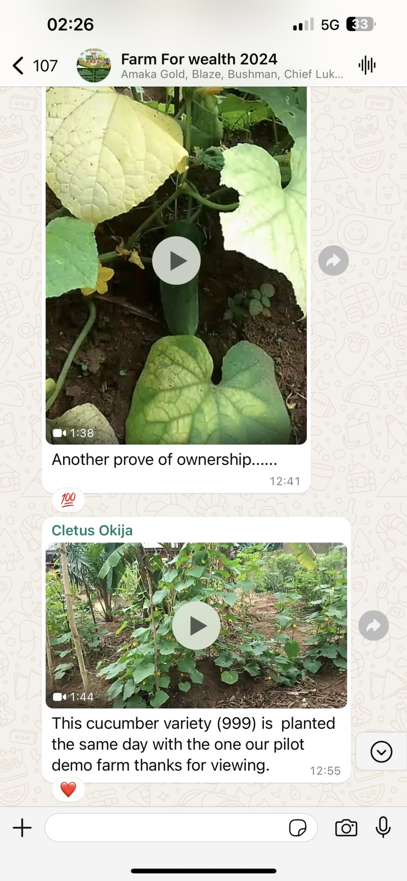 Customer review 4