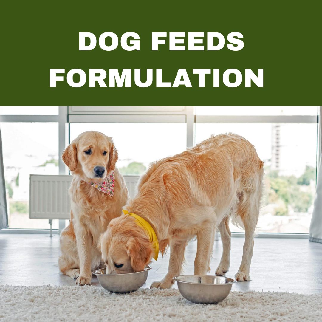 DOG FEEDS FORMULATION