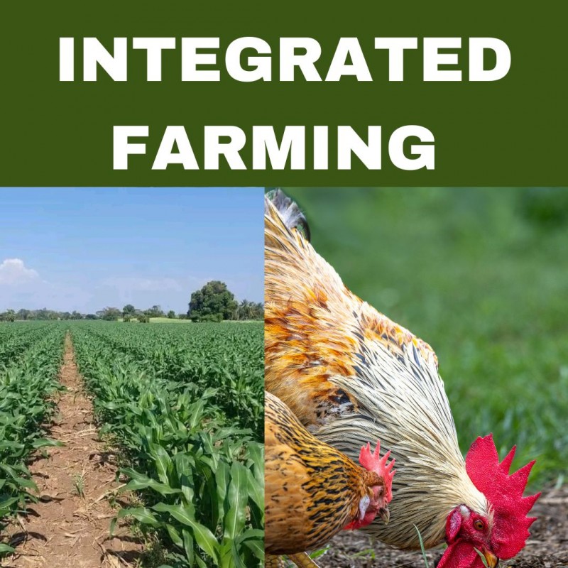 INTEGRATED FARMING