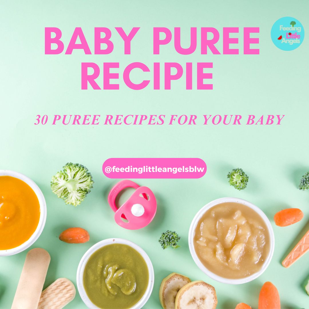 30 BABY PUREE RECIPIE