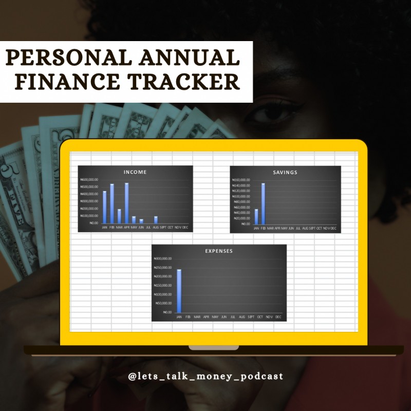 Personal Annual Finance Tracker