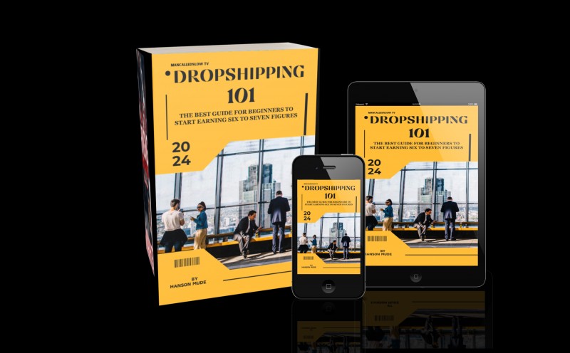Buy DROPSHIPPING 101 by Hanson Mude on Selar