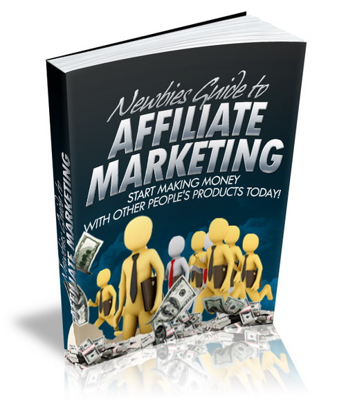 Newbies Guide to Affiliate Marketing: Start Making Money With Others People's Products Today