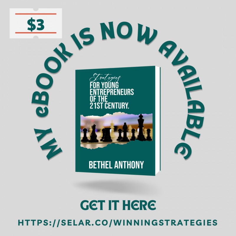 Buy Strategies for Young Entrepreneurs of the 21st Century by Bethel ...