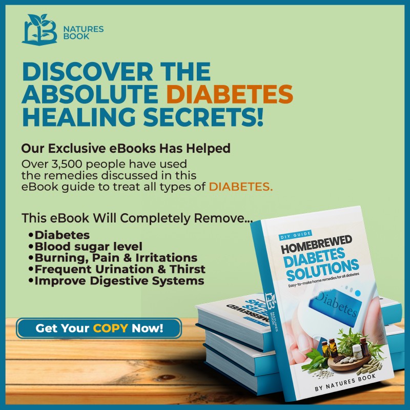 HOMEBREWED DIABETES SOLUTIONS GUIDE