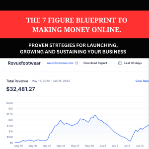 Buy THE 7 FIGURE BLUEPRINT TO MAKING MONEY ONLINE. by ibitein eden on Selar