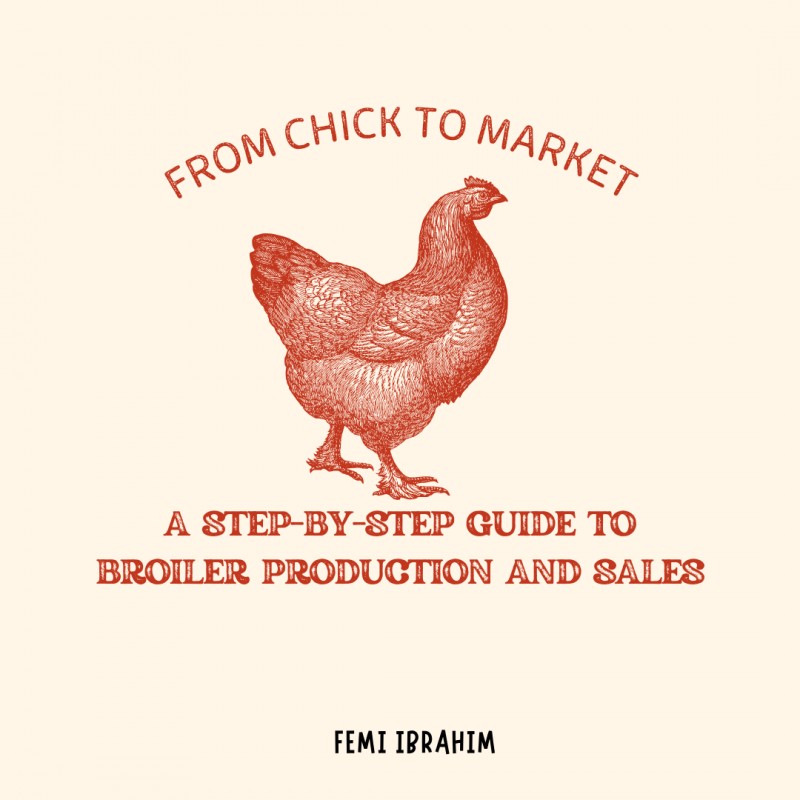 From Chick to Market: A Step-by-Step Guide to Broiler Production and Sales