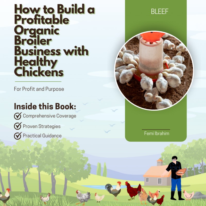 How to Build a Profitable Organic Broiler Business with Healthy Chickens
