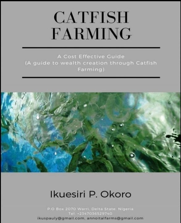 Catfish Farming: A Cost Effective Guide