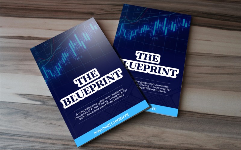 DEBBY'S BLUEPRINT