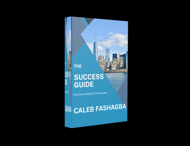 The Amazing Success Guide