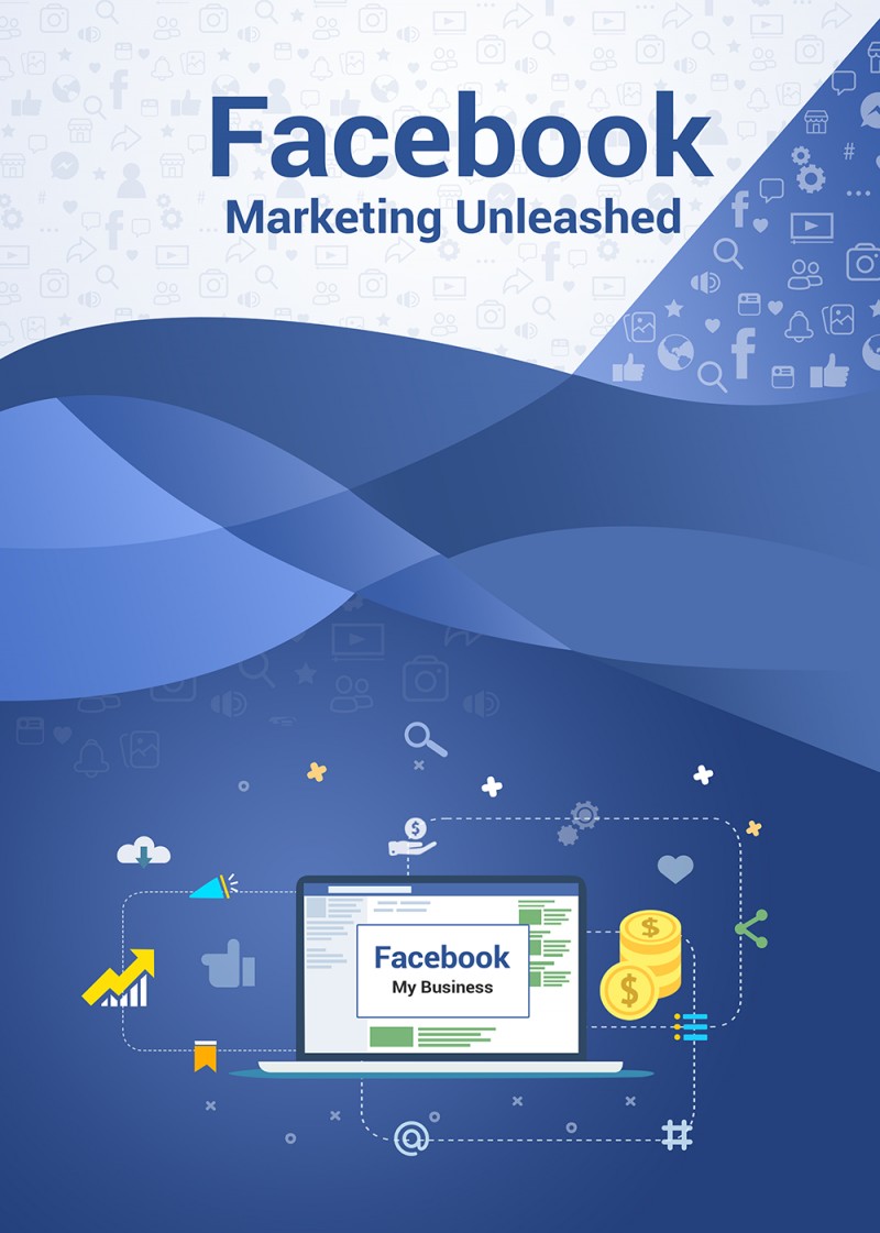 facebook marketing  unleashed
