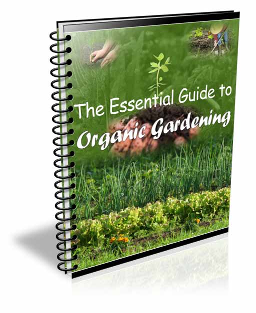 the essential guide to organic gardening