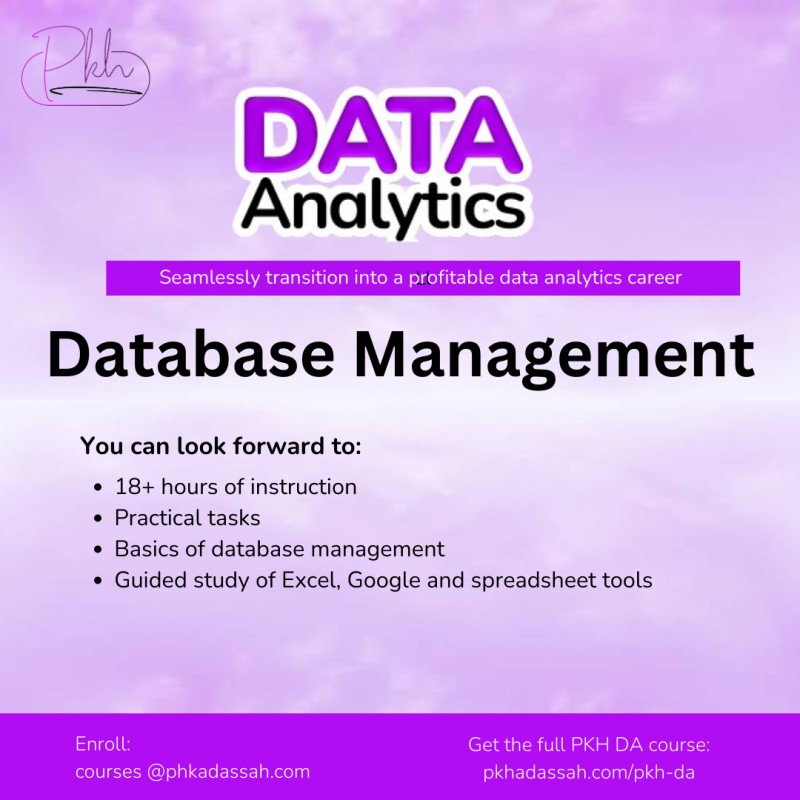 PKH DA - Database management and spreadsheets (monthly subscription)