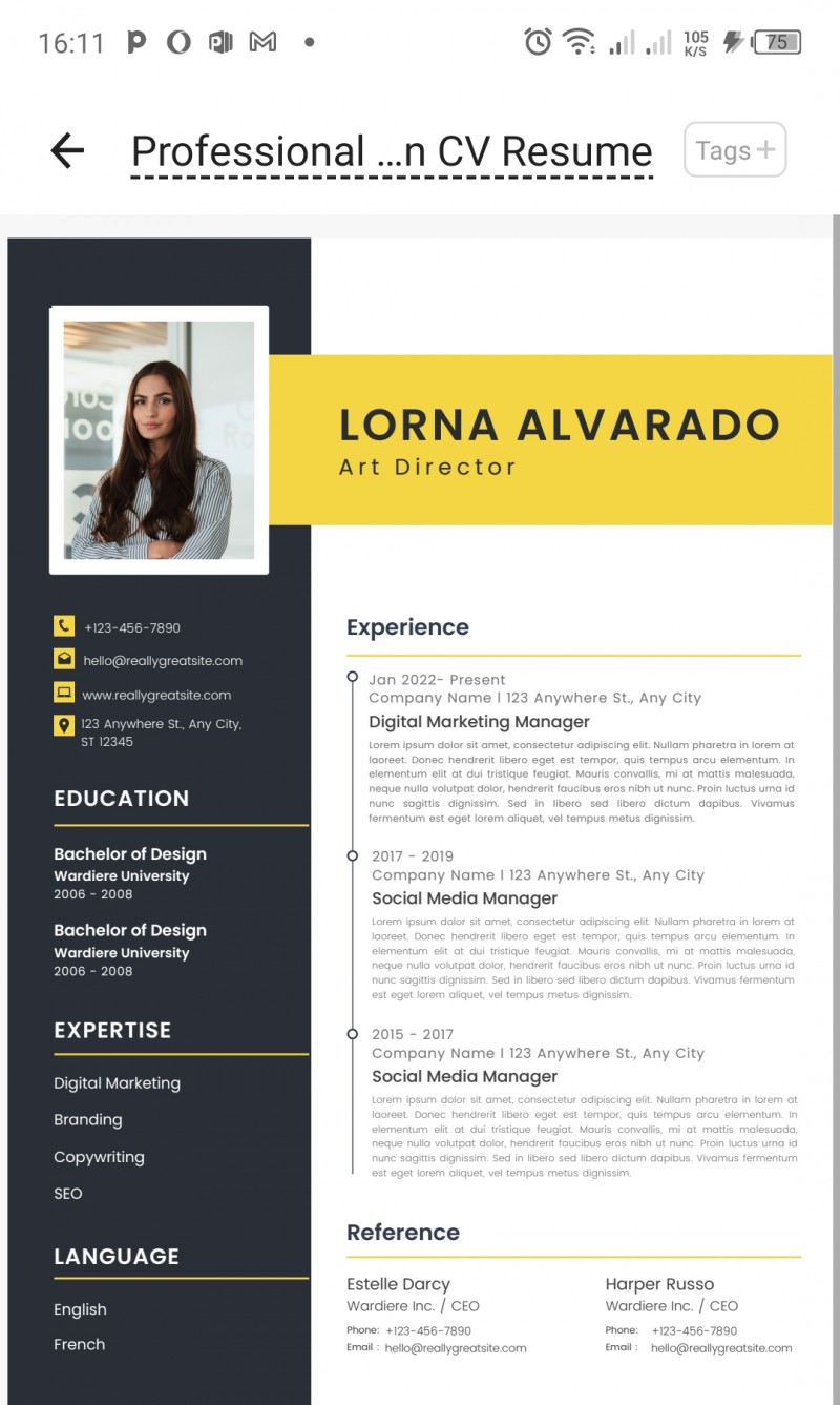 Buy Simple Professional CV - Resume by Job Hub Solutions Africa on Selar