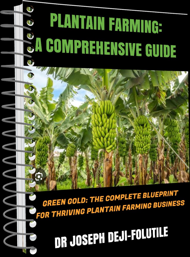 Plantain Farming: A Comprehensive Guide