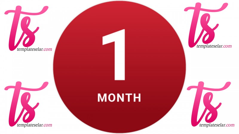 Monthly Plan - Template Selar