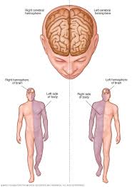 Guidelines for Management of  Stroke