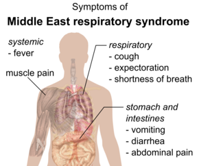 Middle East Treatment for Respiratory Syndrome Coronavirus (MERS-CoV) Infection