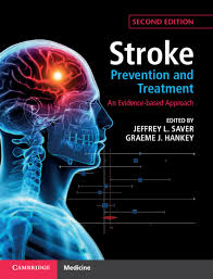 Natural Remedies and Healthy Eating for Stroke