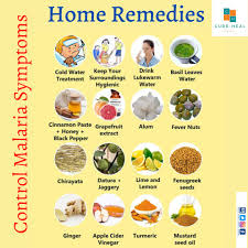 Natural Treatment for Malaria