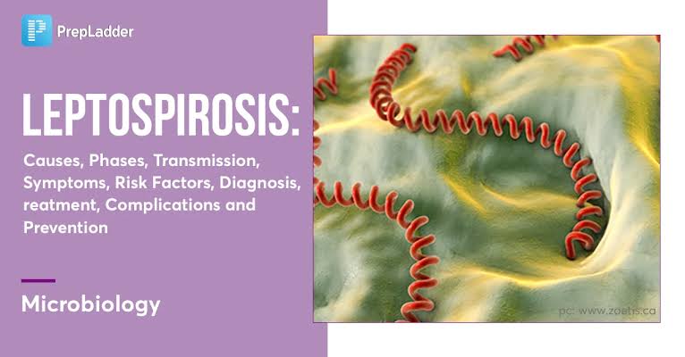 Prevention and Control of Leptospirosis