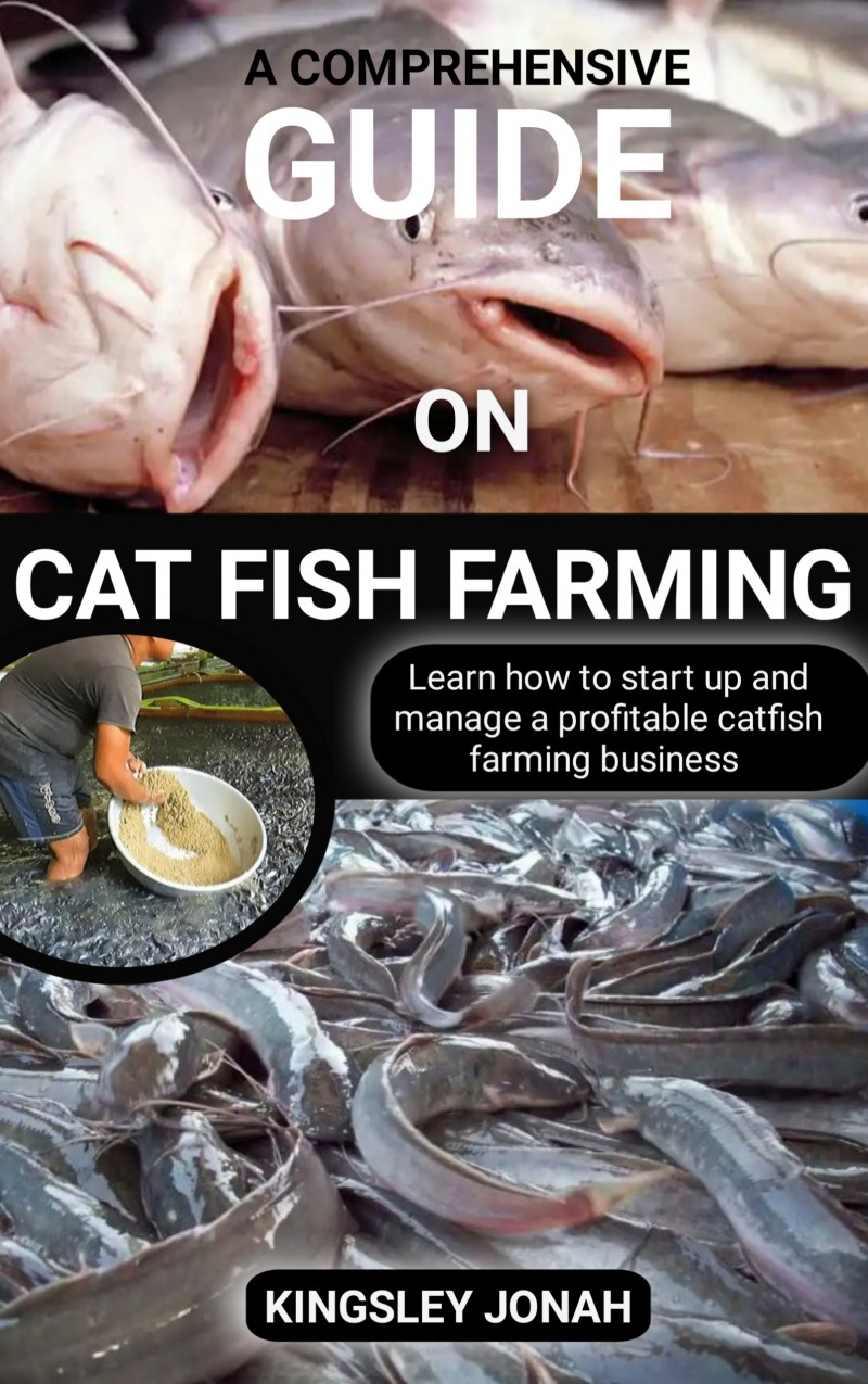 A comprehensive Guide on Catfish farming