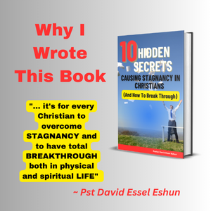 Buy 10 Hidden Secrets Causing Stagnancy In Christians And How To Break