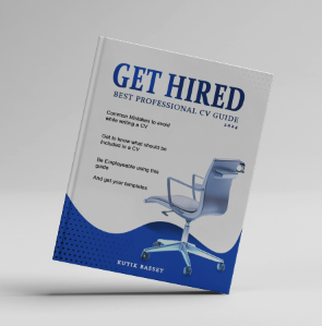 BEST PROFESSIONAL CV GUIDE 2024