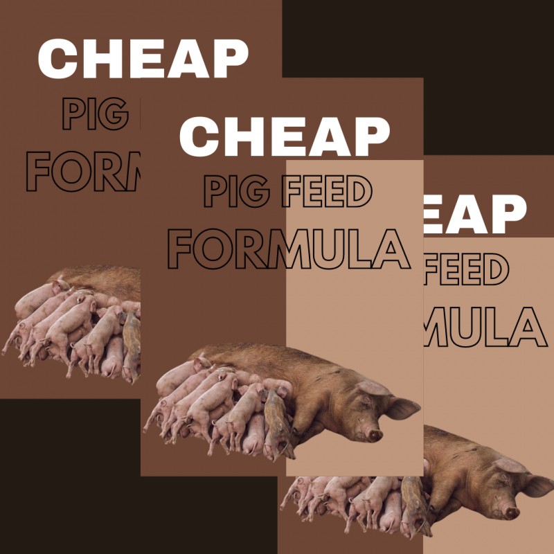 CHEAP PIG FEED FORMULA