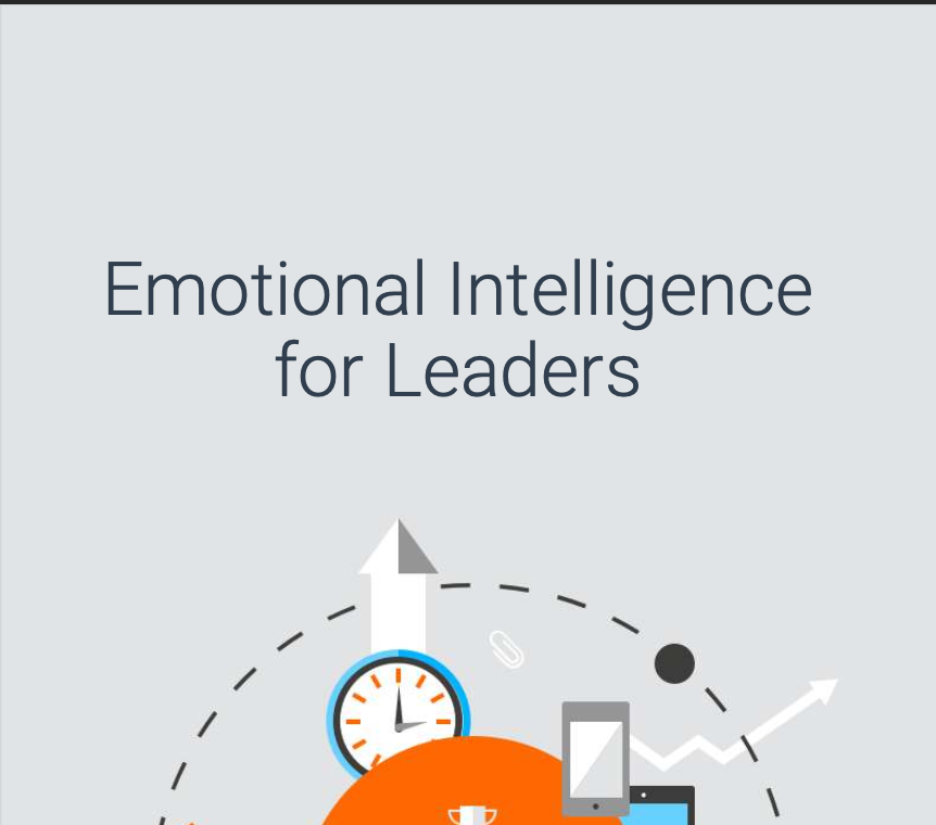 EQ for Leaders Leading Leaders - The Ultimate Starter Guide
