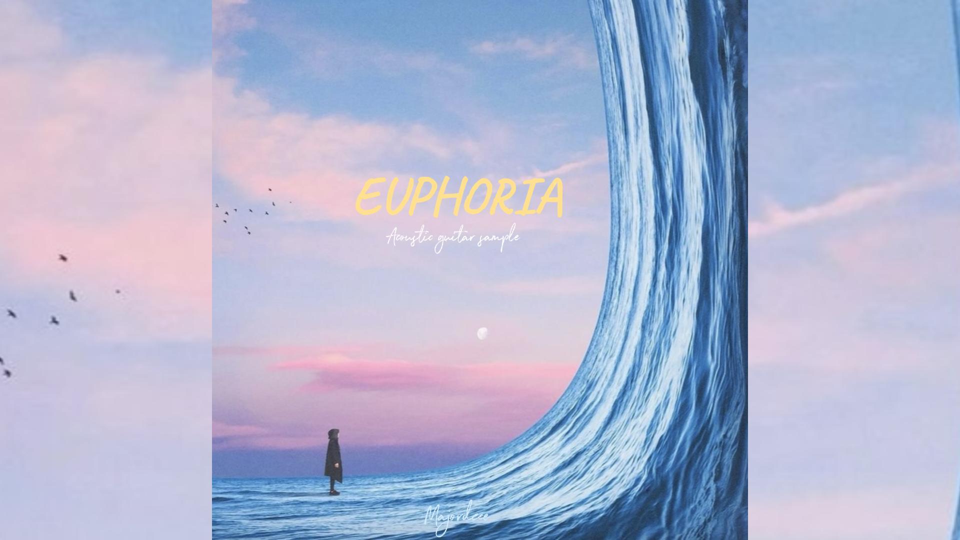 "Euphoria" Acoustic Guitar Loop