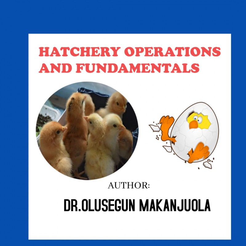 DEBEAKING IN POULTRY PRODUCTION