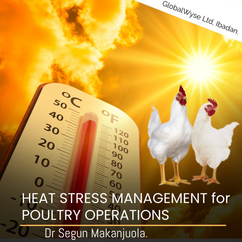 HEAT STRESS MANAGEMENT for  POULTRY OPERATIONS