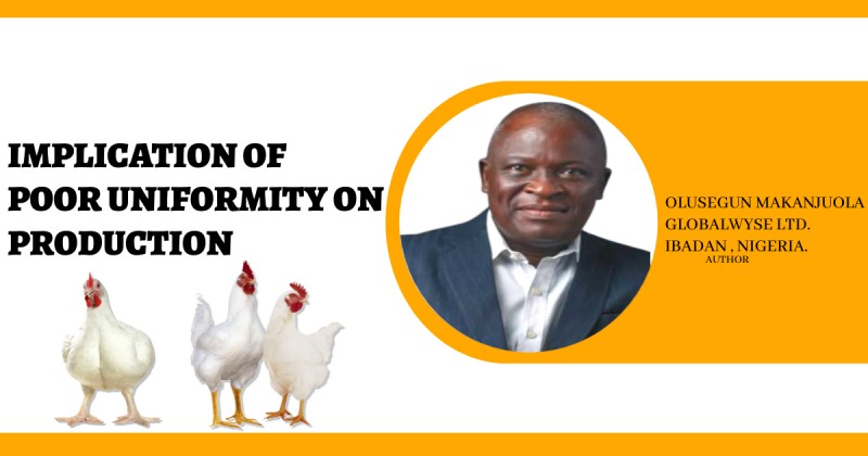 IMPLICATION OF  POOR UNIFORMITY ON  PRODUCTION