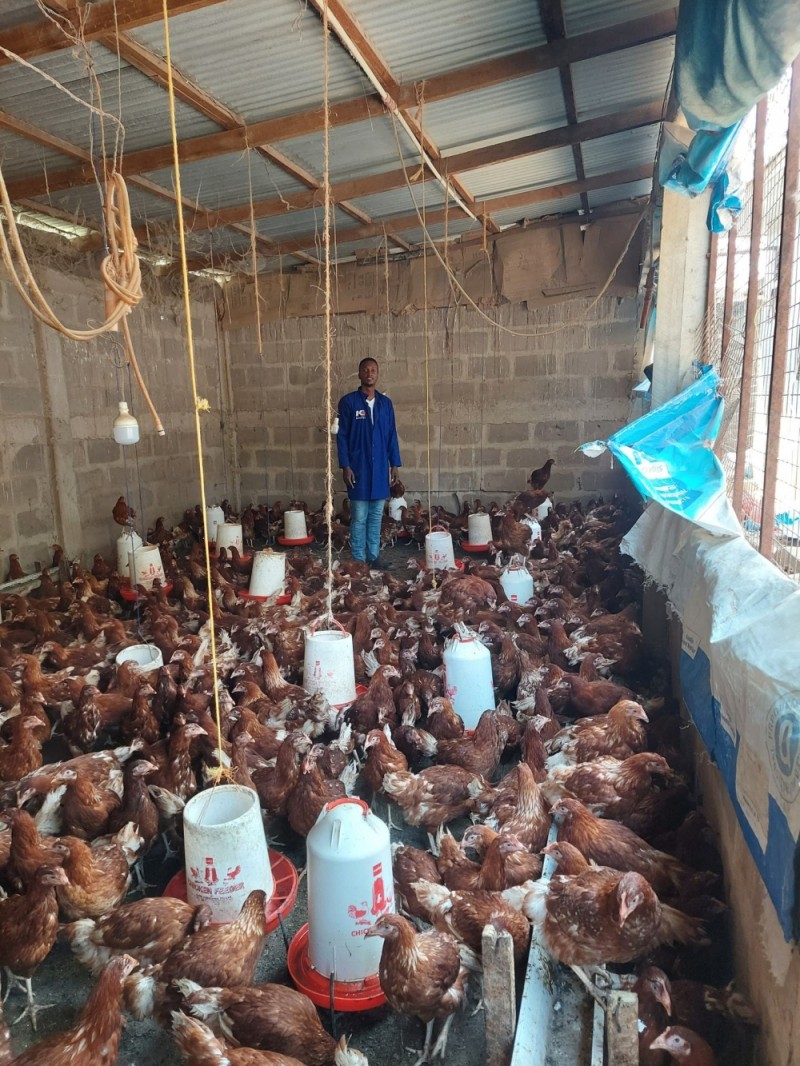 Overview of POULTRY BUSINESS