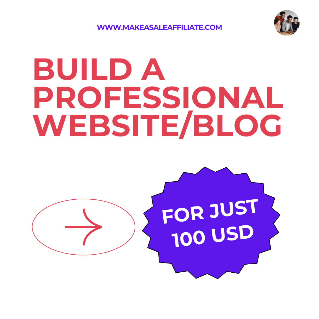 Build a Professional Website or Blog for Just $100!