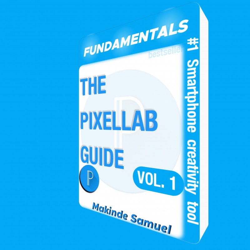 THE PIXELLAB GUIDE(FUNDAMENTALS) VOL 1.