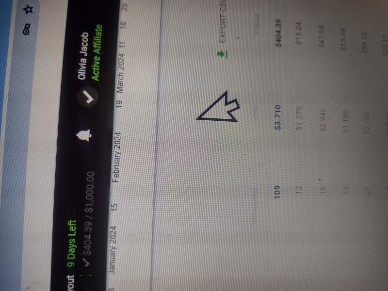 Customer review 11