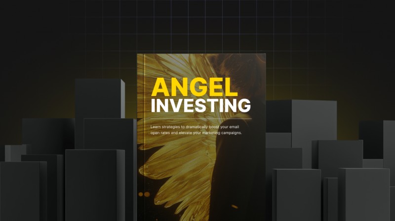 The Angel Investor's Playbook: A Step-by-Step Guide to Startup Success and Returns