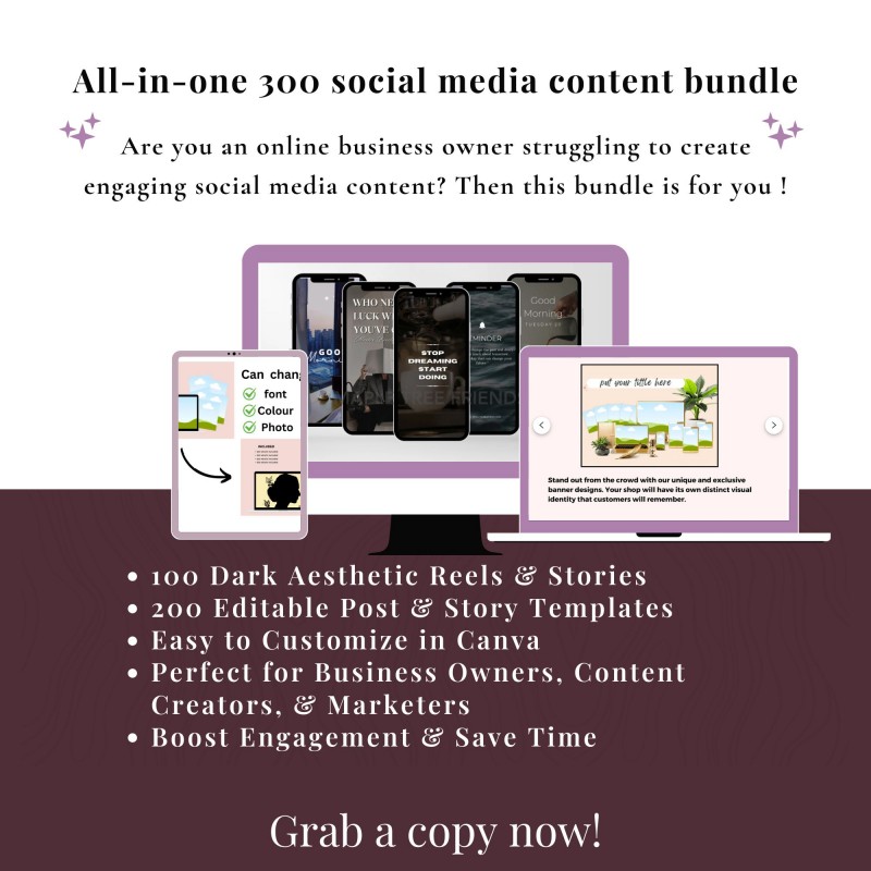 All-In-One 300 Social Media Content Bundle