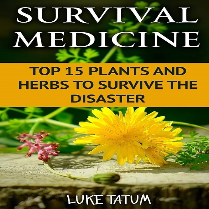 📚 𝐃𝐢𝐬𝐜𝐨𝐯𝐞𝐫 𝐭𝐡𝐞 𝐒𝐞𝐜𝐫𝐞𝐭𝐬 𝐭𝐨 𝐁𝐞𝐭𝐭𝐞𝐫 𝐇𝐞𝐫𝐛𝐚𝐥 𝐇𝐞𝐚𝐥𝐭𝐡 𝐚𝐧𝐝 𝐅𝐮𝐧 𝐃𝐈𝐘 𝐓𝐫𝐞𝐚𝐭𝐦𝐞𝐧𝐭 𝐎𝐟 𝟓𝟐 𝐄𝐛𝐨𝐨𝐤𝐬! 🌱🌱