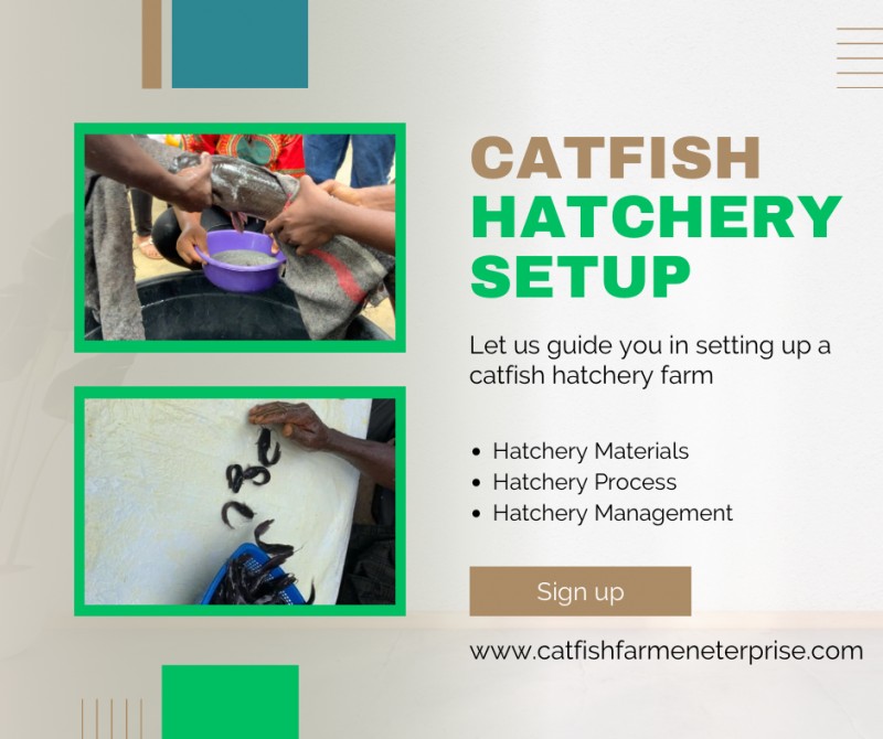 Catfish Hatchery Training