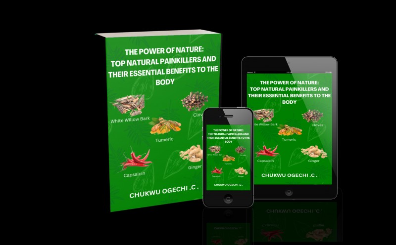 The Power Of Nature: Top Natural Painkillers And Their Benefits To The Body