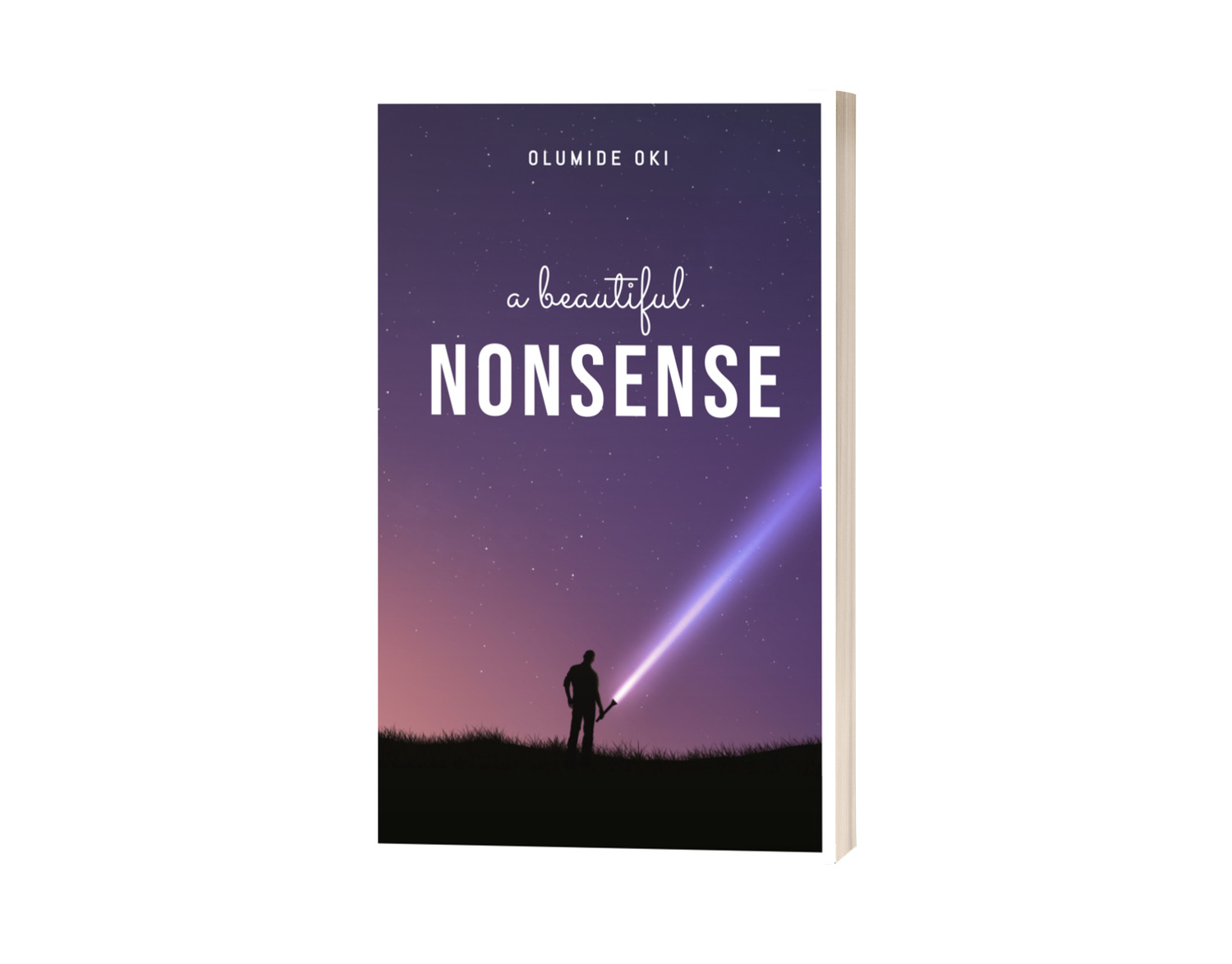 A Beautiful Nonsense (Novel)
